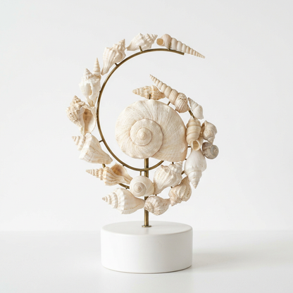 Spiral Shell